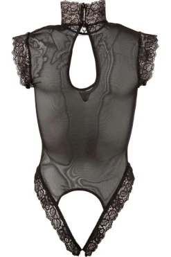 Abierta Fina Body