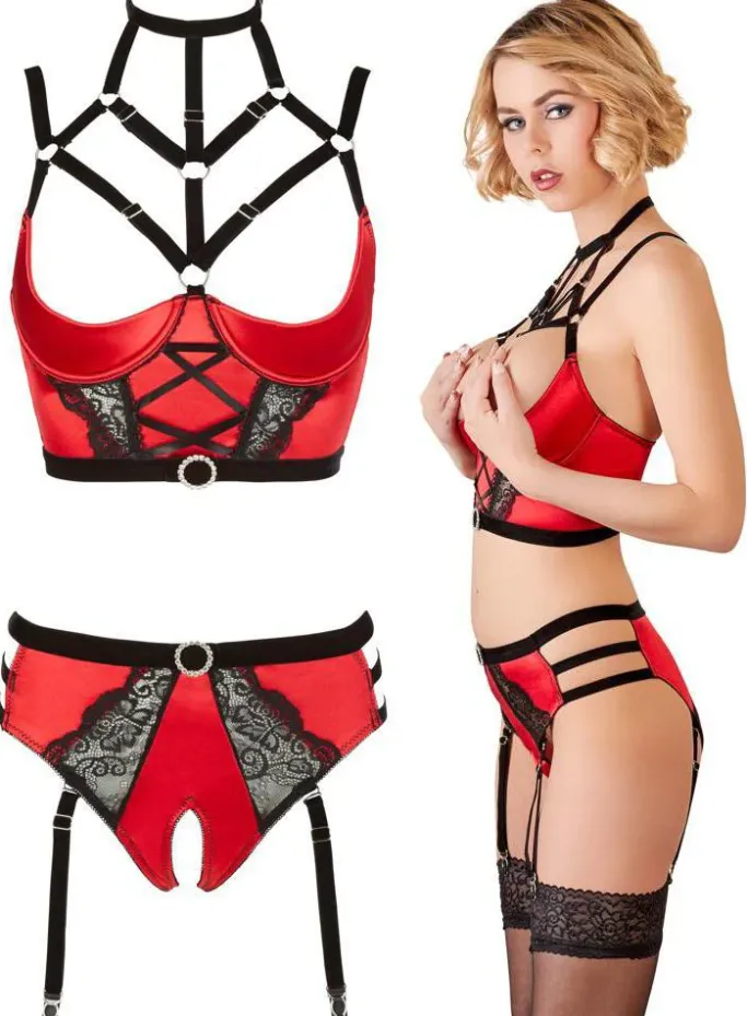 Abierta Fina Bustier with Waist-High Briefs