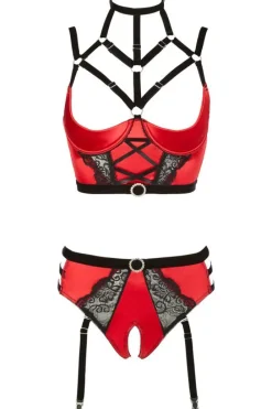 Abierta Fina Bustier with Waist-High Briefs