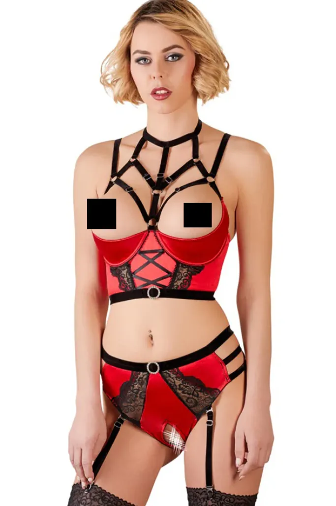 Abierta Fina Bustier with Waist-High Briefs