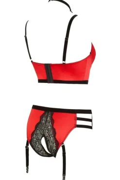Abierta Fina Bustier with Waist-High Briefs