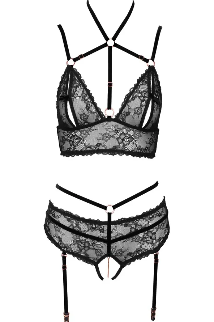 Abierta Fina Lingerie Set