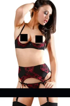 Abierta Fina Red Shelf Bra Set