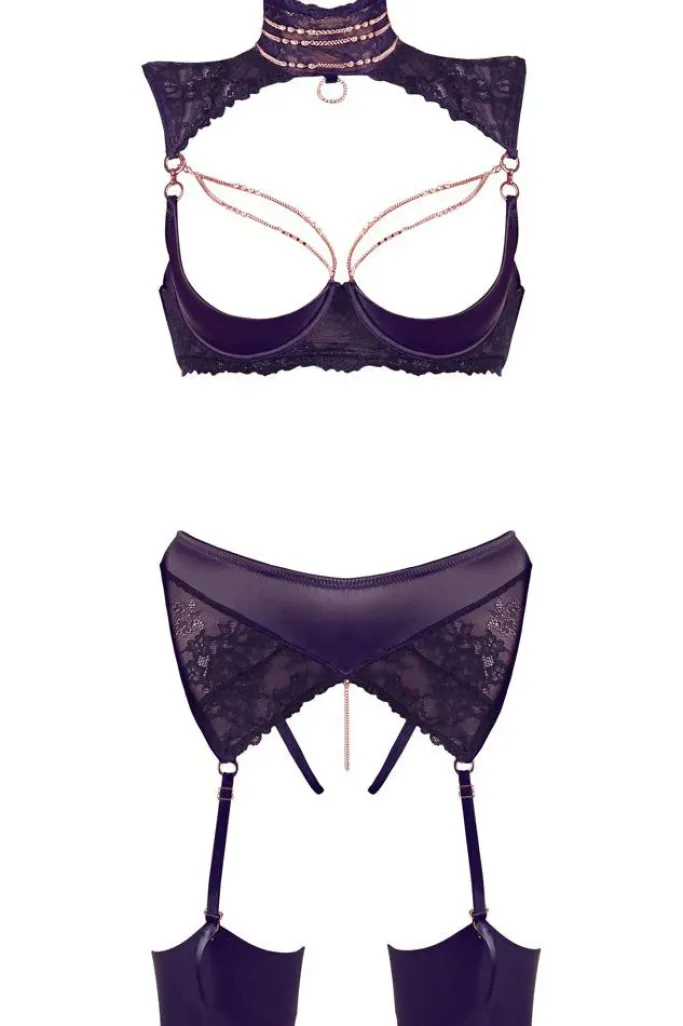 Abierta Fina Shelf Lingerie Set