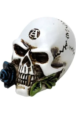 Alchemy Gothic Alchemy Alchemist Skull Miniature