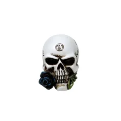 Alchemy Gothic Alchemy Alchemist Skull Miniature
