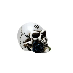Alchemy Gothic Alchemy Alchemist Skull Miniature
