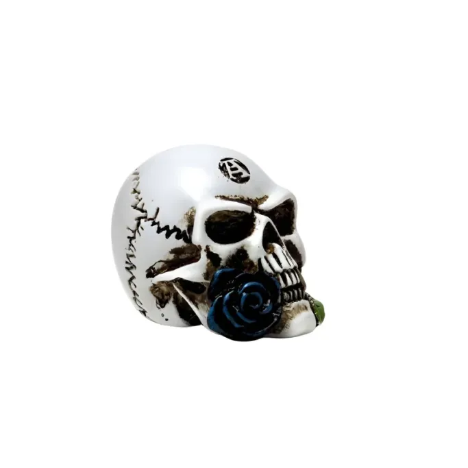 Alchemy Gothic Alchemy Alchemist Skull Miniature
