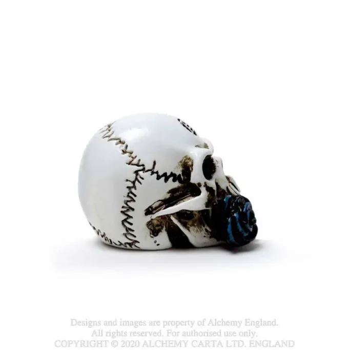 Alchemy Gothic Alchemy Alchemist Skull Miniature