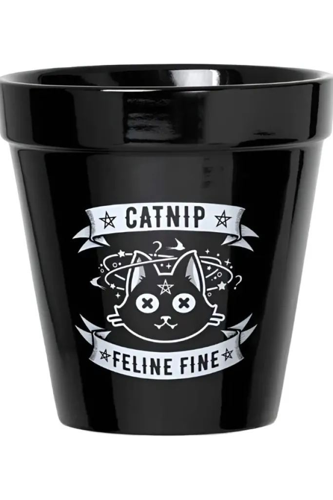 Alchemy Gothic Alchemy Catnip Plant Pot