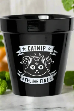 Alchemy Gothic Alchemy Catnip Plant Pot