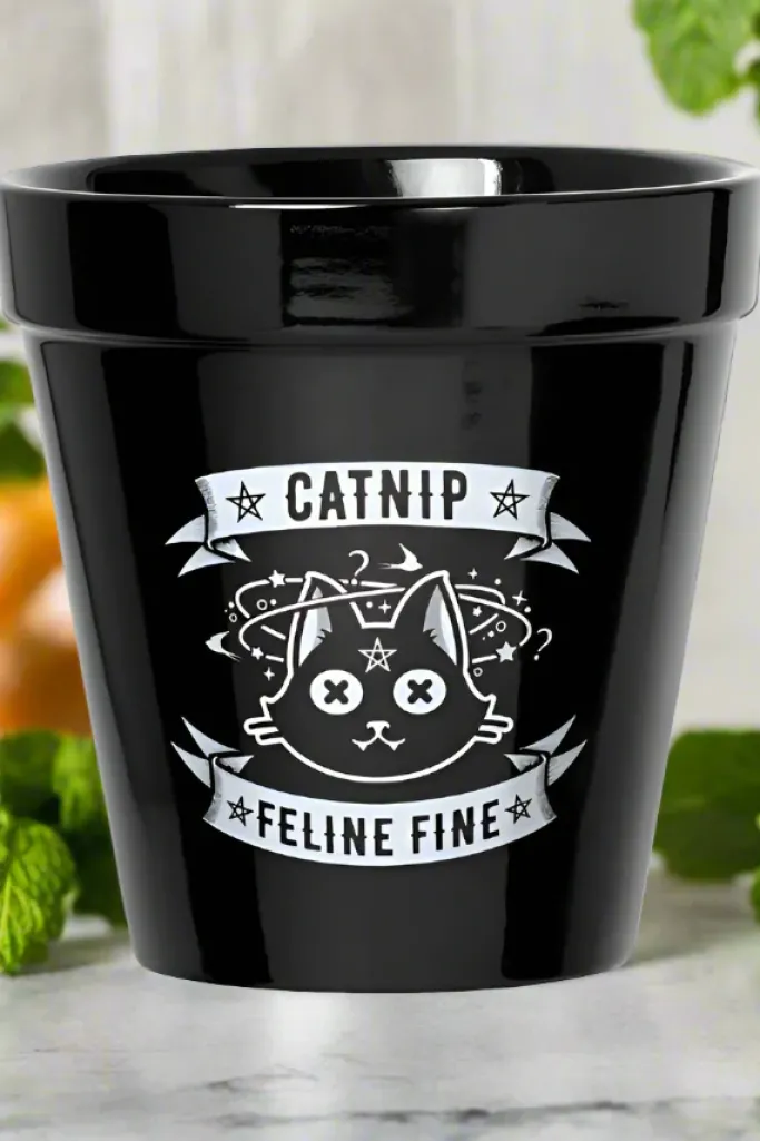 Alchemy Gothic Alchemy Catnip Plant Pot