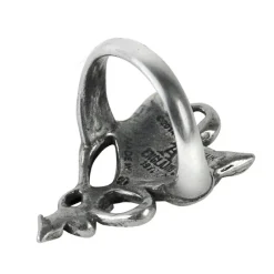 Alchemy Gothic Alchemy Devil Heart Ring UL17 ULFR6