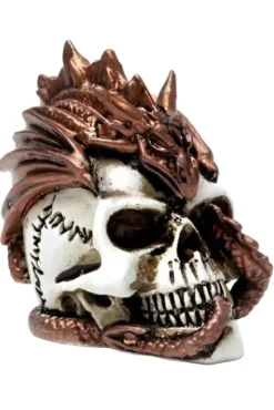 Alchemy Gothic Alchemy Dragon Keepers Skull Miniture