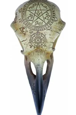 Alchemy Gothic Omega Raven Skull V67