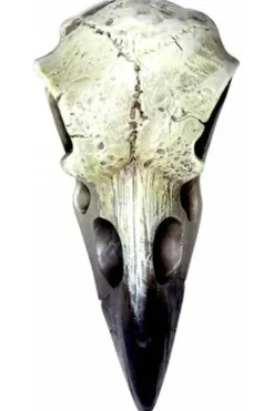 Alchemy Gothic Reliquary Raven Skull V66