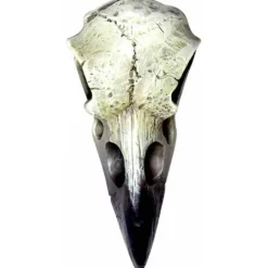 Alchemy Gothic Reliquary Raven Skull V66