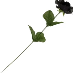 Alchemy Gothic Single Black Rose