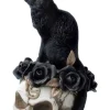 Alchemy Gothic Alchemy Grimalkins Ghost Cat and Skull
