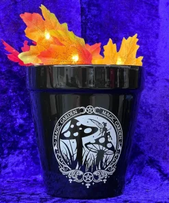 Alchemy Gothic Alchemy Magic Garden Plant Pot