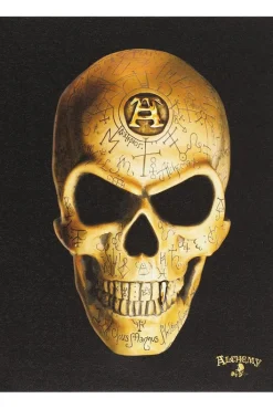 Something Different Alchemy Omega Skull Canvas Picture