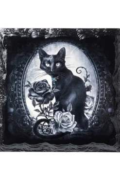 Alchemy Gothic Alchemy Paracelsus Cat Roses Coaster
