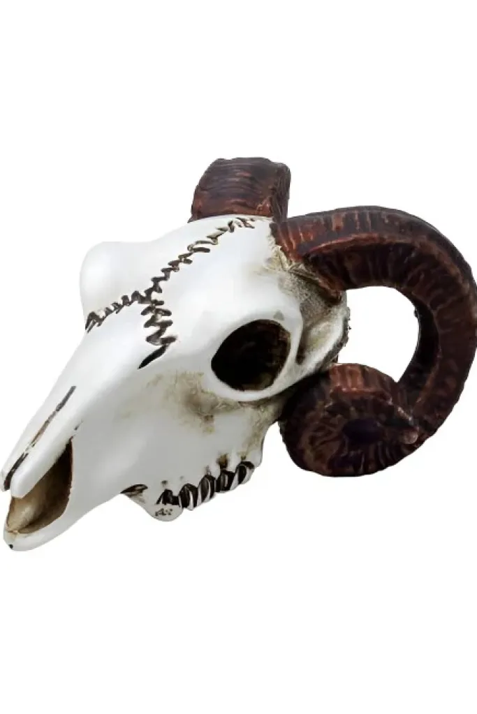 Alchemy Gothic Alchemy Rams Skull Miniture