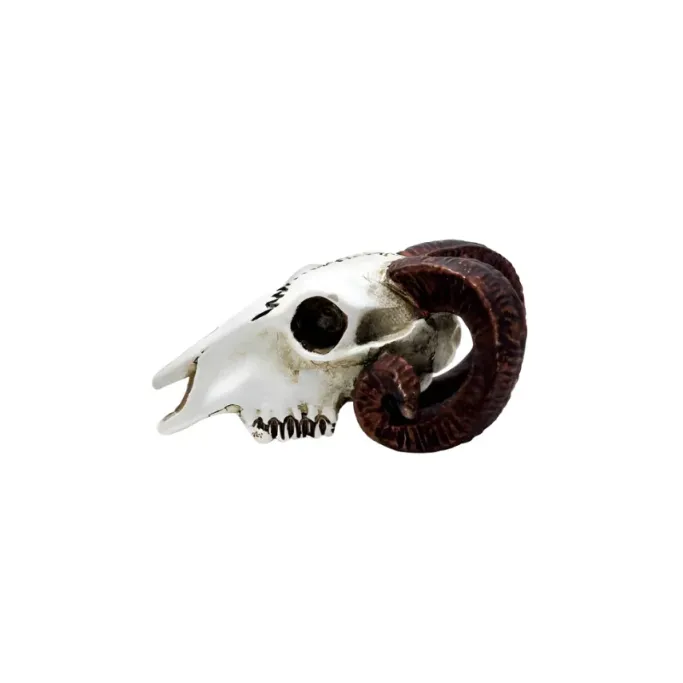 Alchemy Gothic Alchemy Rams Skull Miniture