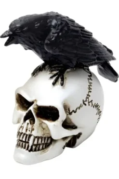 Alchemy Gothic Alchemy Raven Skull Miniture