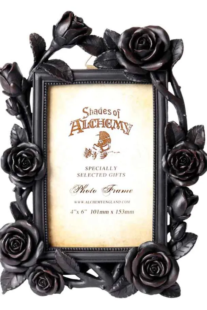 Alchemy Gothic Alchemy Rose and Vine Photo Frame