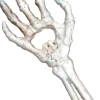 Alchemy Gothic Alchemy Skeletal Hand Bottle Opener