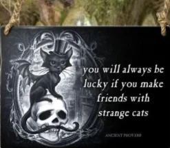 Alchemy Gothic Alchemy Strange Cats Meowstophelex Plaque