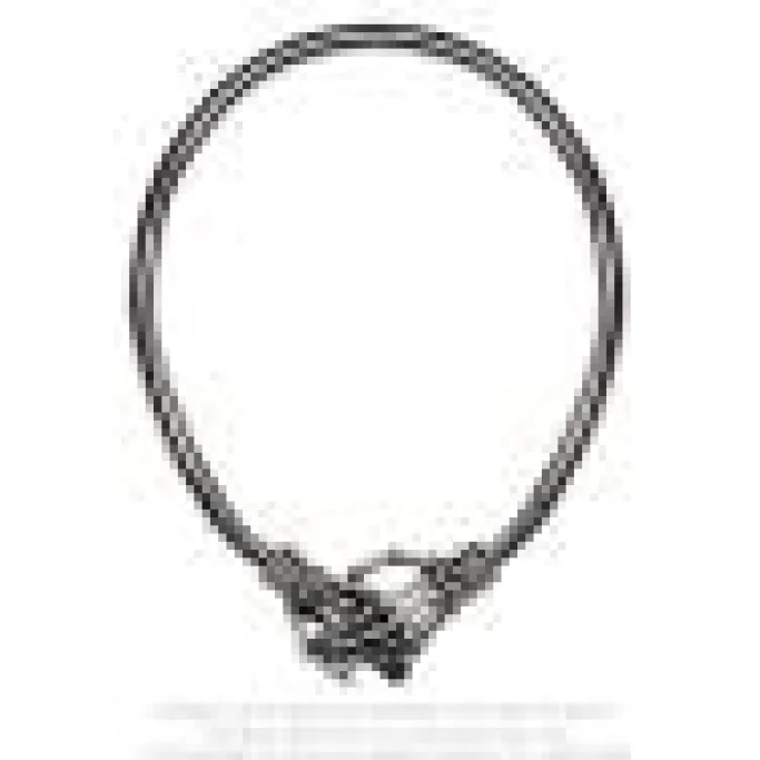 Alchemy Gothic Alchemy Take Me With You Necklace
