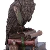 Nemesis Now An Owls Tale Bronze Figurine