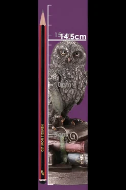 Nemesis Now An Owls Tale Bronze Figurine
