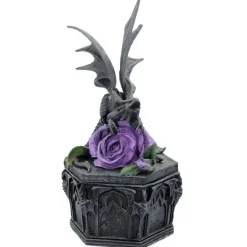 Nemesis Now Anne Stokes Dragon Beauty Box