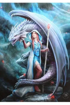 Something Different Anne Stokes Dragon Mage Picture
