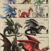 Eastgate Anne Stokes Dragon Size Chart Greetings Card