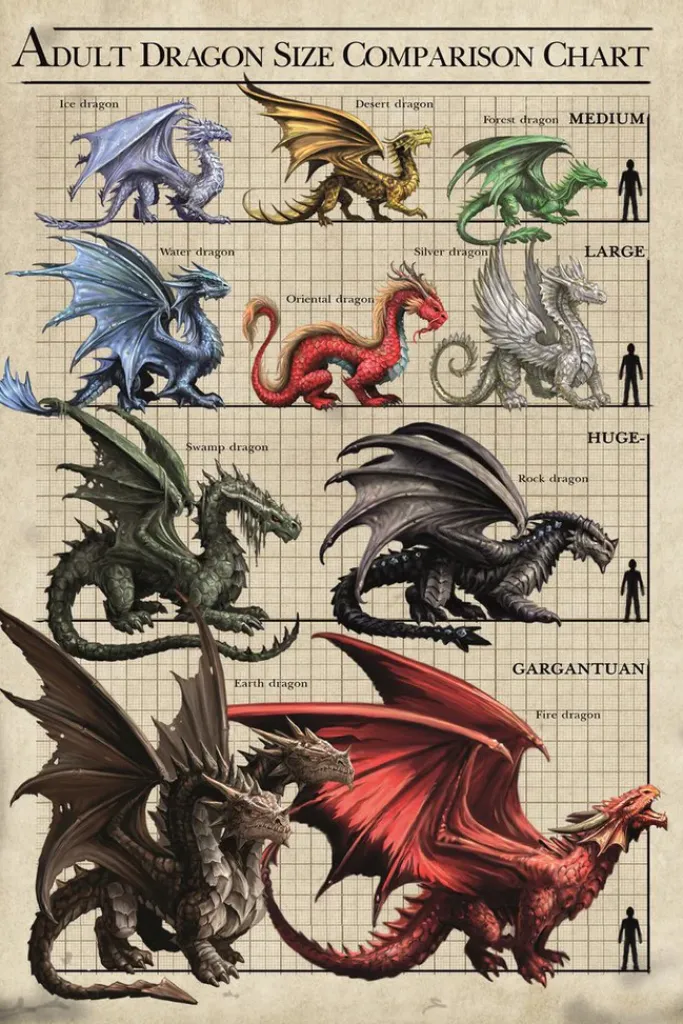 Eastgate Anne Stokes Dragon Size Chart Greetings Card