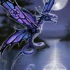 Eastgate Anne Stokes Dragonfly Greetings Card