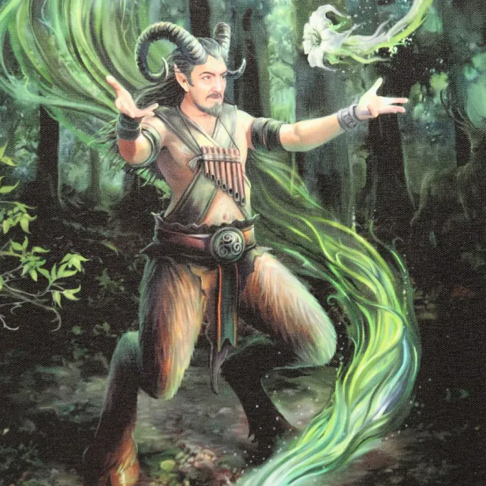Something Different Anne Stokes Earth Element Wizard Picture