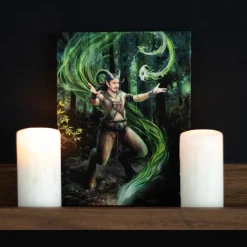 Something Different Anne Stokes Earth Element Wizard Picture