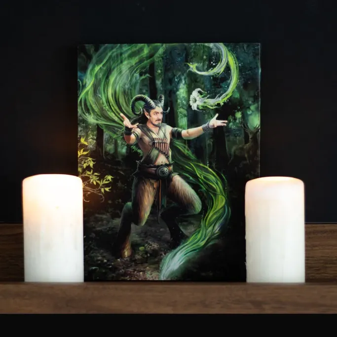 Something Different Anne Stokes Earth Element Wizard Picture