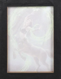 Something Different Anne Stokes Earth Element Sorceress Picture