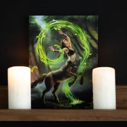Something Different Anne Stokes Earth Element Sorceress Picture