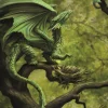 Eastgate Anne Stokes Forest Dragon Card