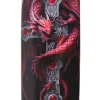 Something Different Anne Stokes Gothic Guardian Glasses Case