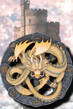 Something Different Anne Stokes Imbolc Dragon Wall Plaque