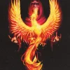 Something Different Anne Stokes Phoenix Rising Picture