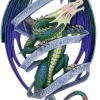 Nemesis Now Anne Stokes Sometimes Plaque